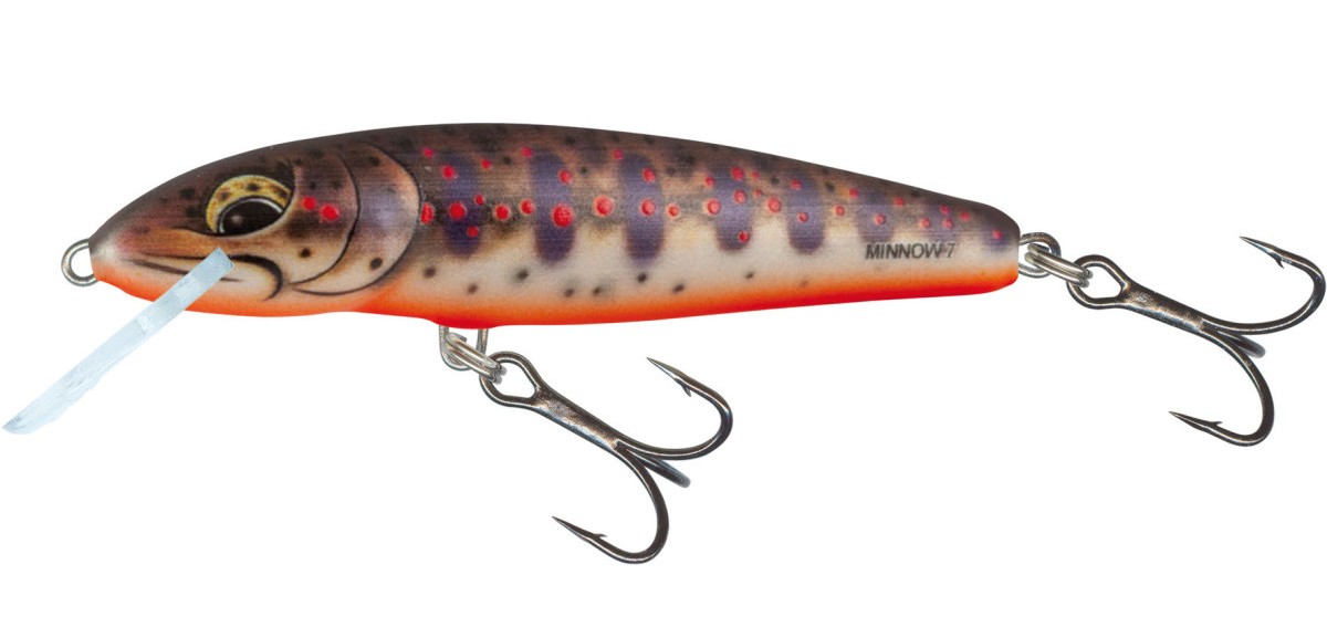 Salmo Minnow Sinking 5cm